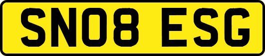 SN08ESG