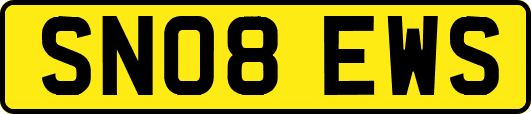 SN08EWS