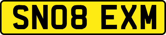 SN08EXM