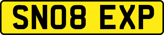 SN08EXP