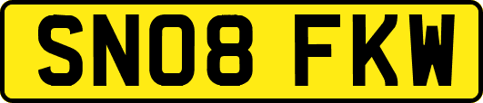 SN08FKW