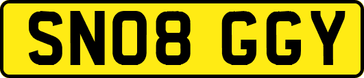 SN08GGY