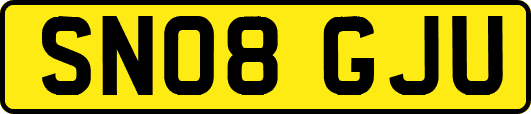 SN08GJU