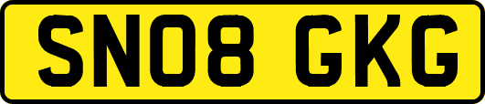 SN08GKG