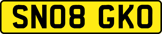SN08GKO