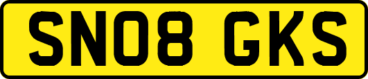 SN08GKS