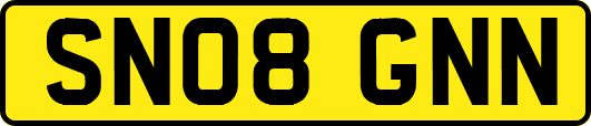 SN08GNN