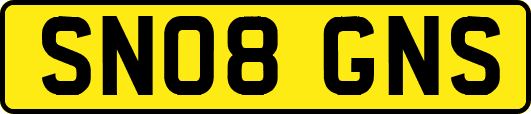 SN08GNS