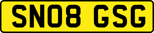 SN08GSG