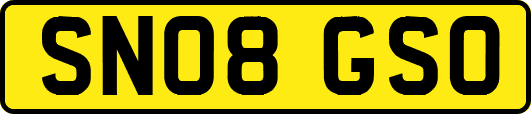 SN08GSO
