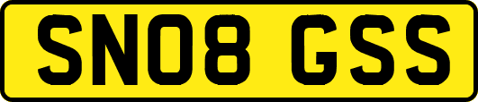 SN08GSS