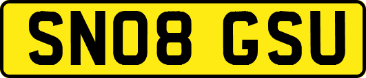 SN08GSU