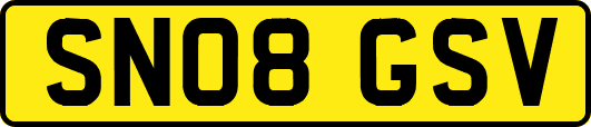 SN08GSV