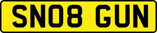 SN08GUN