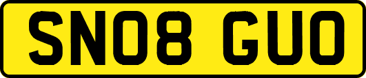 SN08GUO