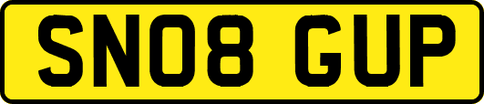 SN08GUP