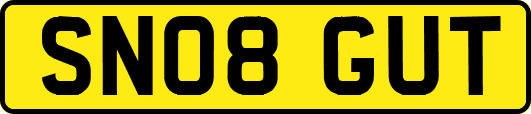 SN08GUT
