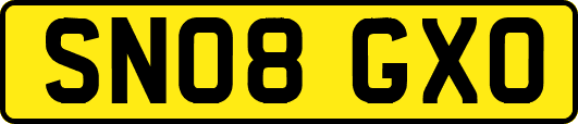 SN08GXO