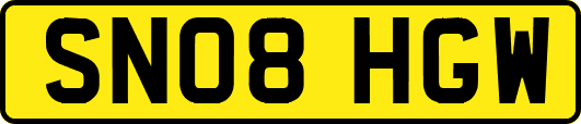 SN08HGW