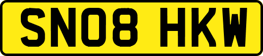 SN08HKW