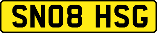 SN08HSG