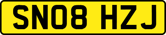 SN08HZJ