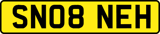 SN08NEH