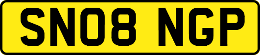 SN08NGP