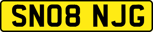 SN08NJG