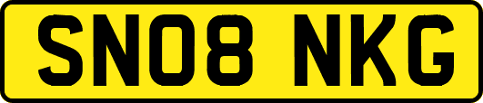 SN08NKG