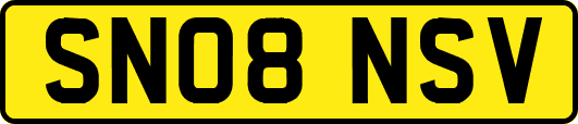 SN08NSV
