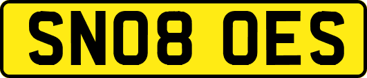 SN08OES