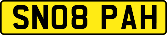 SN08PAH