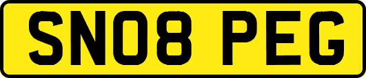 SN08PEG
