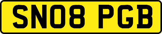SN08PGB