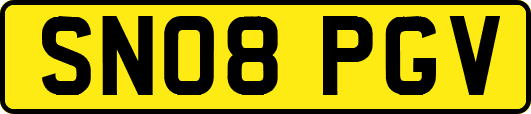 SN08PGV
