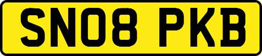 SN08PKB