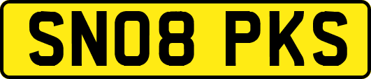 SN08PKS