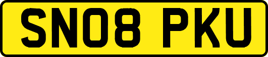 SN08PKU