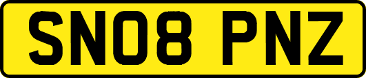 SN08PNZ