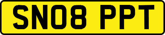 SN08PPT