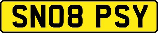 SN08PSY
