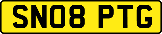 SN08PTG