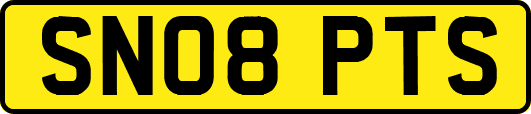 SN08PTS