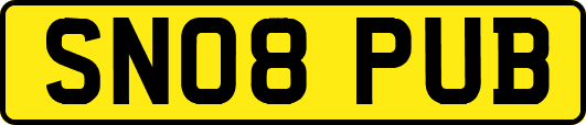 SN08PUB