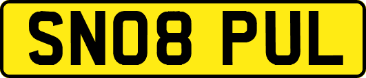 SN08PUL