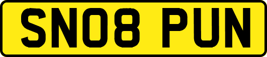 SN08PUN