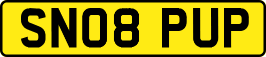 SN08PUP