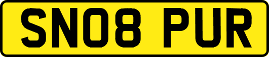 SN08PUR