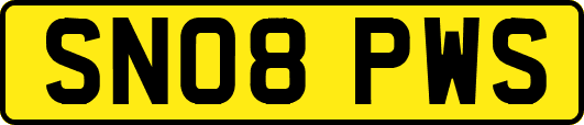 SN08PWS